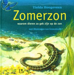 Zomerzon - 9789050113267 - Tialda Hoogeveen