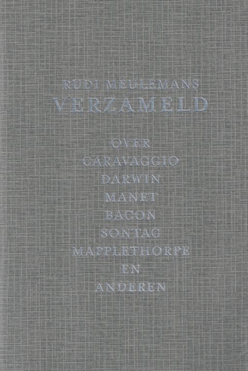 Verzameld - 9789460011443 - Rudi Meulemans