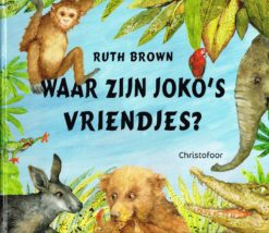Waar zijn Joko’s vriendjes? - 9789060386743 - Ruth Brown