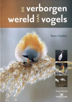 De verborgen wereld van vogels - 9789052109121 - Peter Holden
