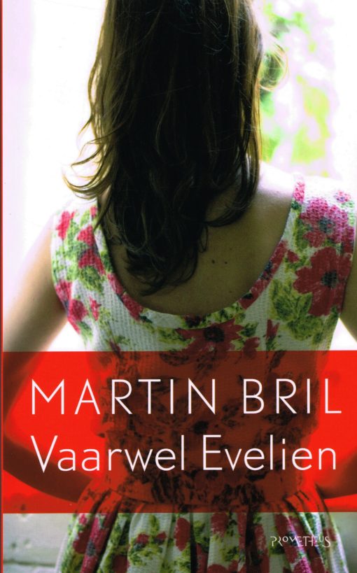 Vaarwel Evelien - 9789044613841 - Martin Bril