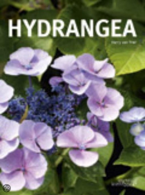Hydrangea - 9789058561954 - Harry van Trier