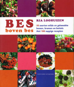 Bes boven bes - 9789059564527 - Ria Loohuizen