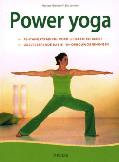 Power yoga - 9789044735116 - Martina Allendorf