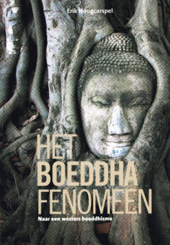 Het boeddha fenomeen - 9789491693717 - Erik Hoogcaspel