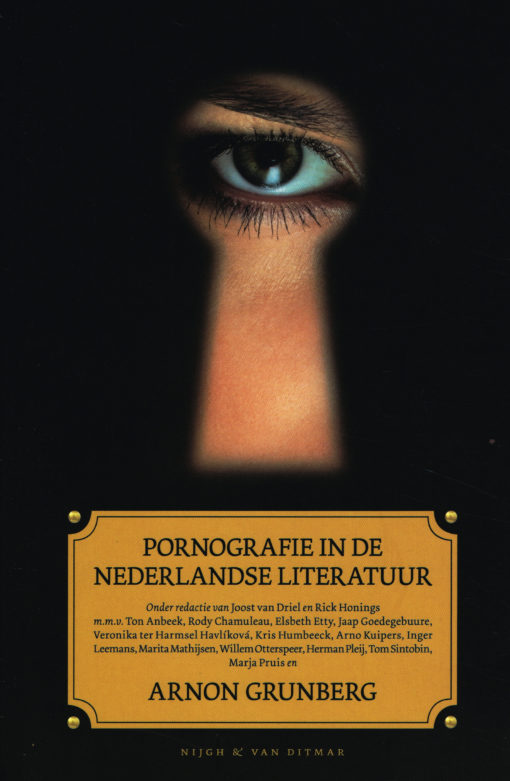Pornografie in de Nederlandse literatuur - 9789038895307 - Arnon Grunberg