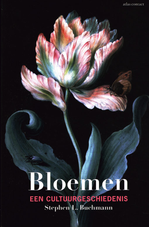 Bloemen - 9789045028439 - Stephen L. Buchmann