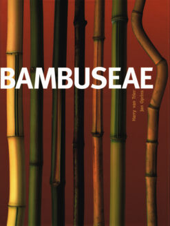 Bambuseae - 9789058561466 - Harry van Trier