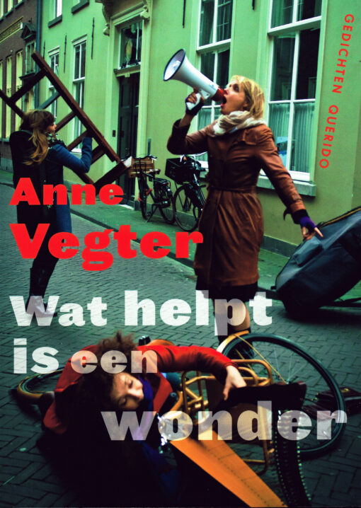Wat helpt is een wonder - 9789021404400 - Anne Vegter