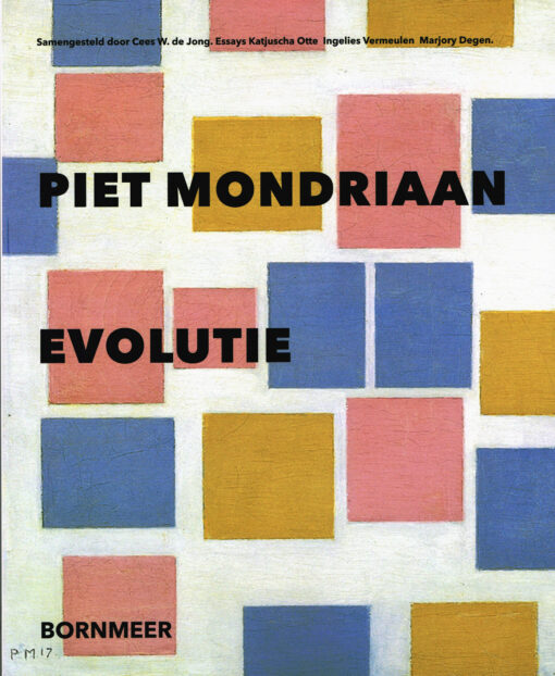 Piet Mondriaan Evolutie - 9789056153953 -  