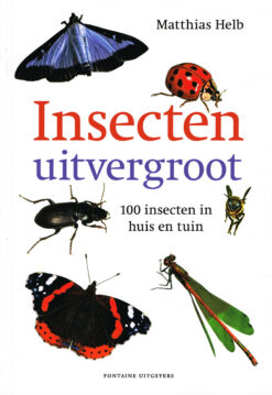 Insecten uitvergroot - 9789059567450 - Matthias Helb