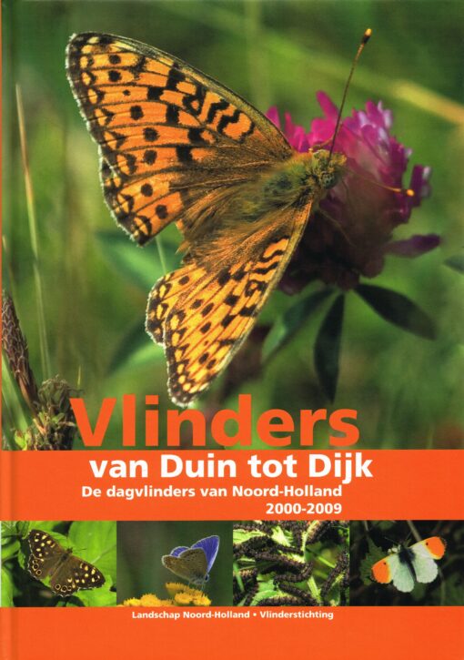 Vlinders van Duin tot Dijk - 9789491134036 -  