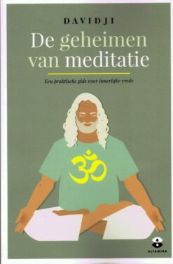 De geheimen van meditatie - 9789401302784 - davidji 