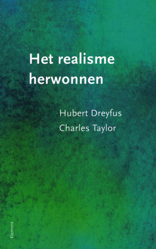 Het realisme herwonnen - 9789086871827 - Hubert Dreyfus
