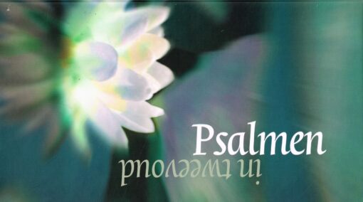 Psalmen in tweevoud - 9789023960515 -  