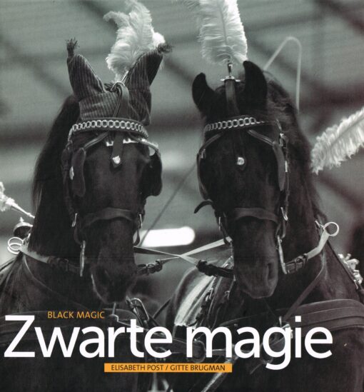 Zwarte magie - 9789033008030 - Elisabeth Post