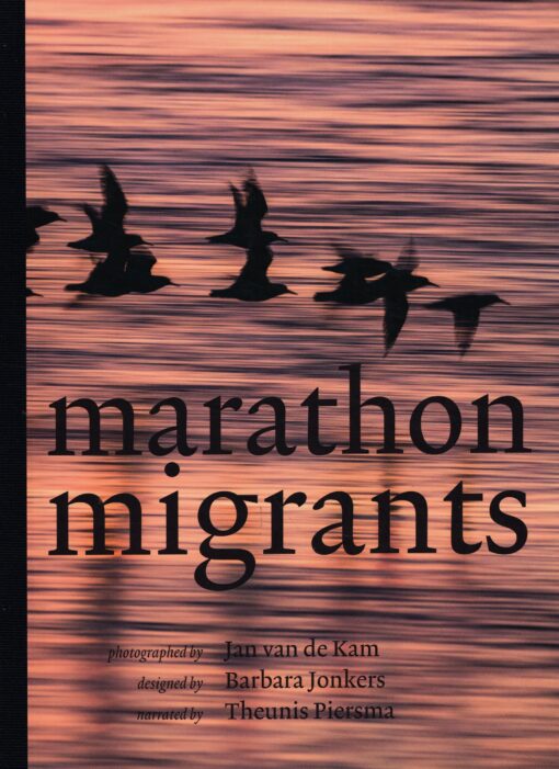 Marathon Migrants - 9789056153793 - Theunis Piersma