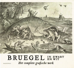 Bruegel in zwart en wit - 9789463887199 - Maarten Bassens