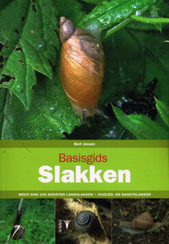 Basisgids slakken - 9789050116275 - Bert Jansen