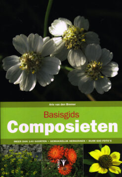 Basisgids composieten - 9789050116121 - Arie van den Bremer