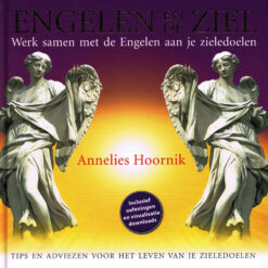Engelen en de ziel - 9789079995127 - Annelies Hoornik