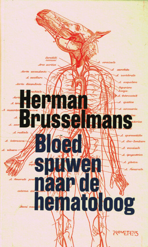 Bloed spuwen naar de hematoloog - 9789044642643 - Herman Brusselmans