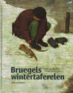Bruegels wintertaferelen - 9789462302211 - Tine Luk Meganck