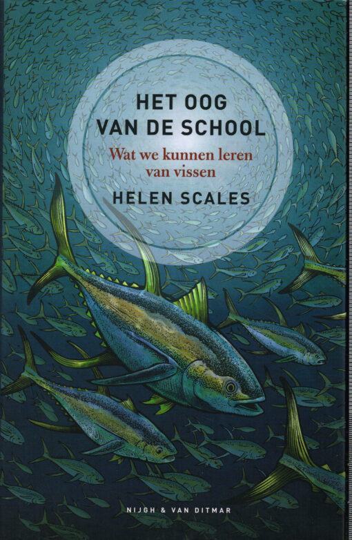 Het oog van de school - 9789038805375 - Helen Scales