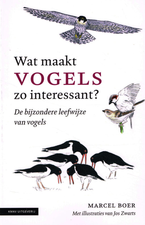 Wat maakt vogels zo interessant? - 9789050117500 - Marcel Boer