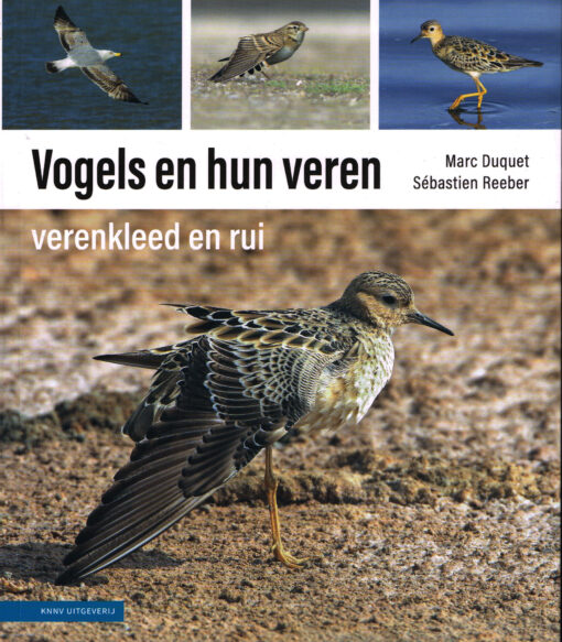 Vogels en hun veren - 9789050117678 - Marc Duquet