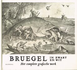 Bruegel in zwart en wit - 9789463887182 -  