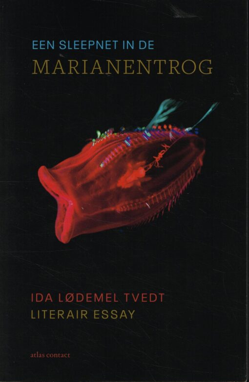 Een sleepnet in de Marianentrog - 9789045043128 - Ida Lødemel Tvedt