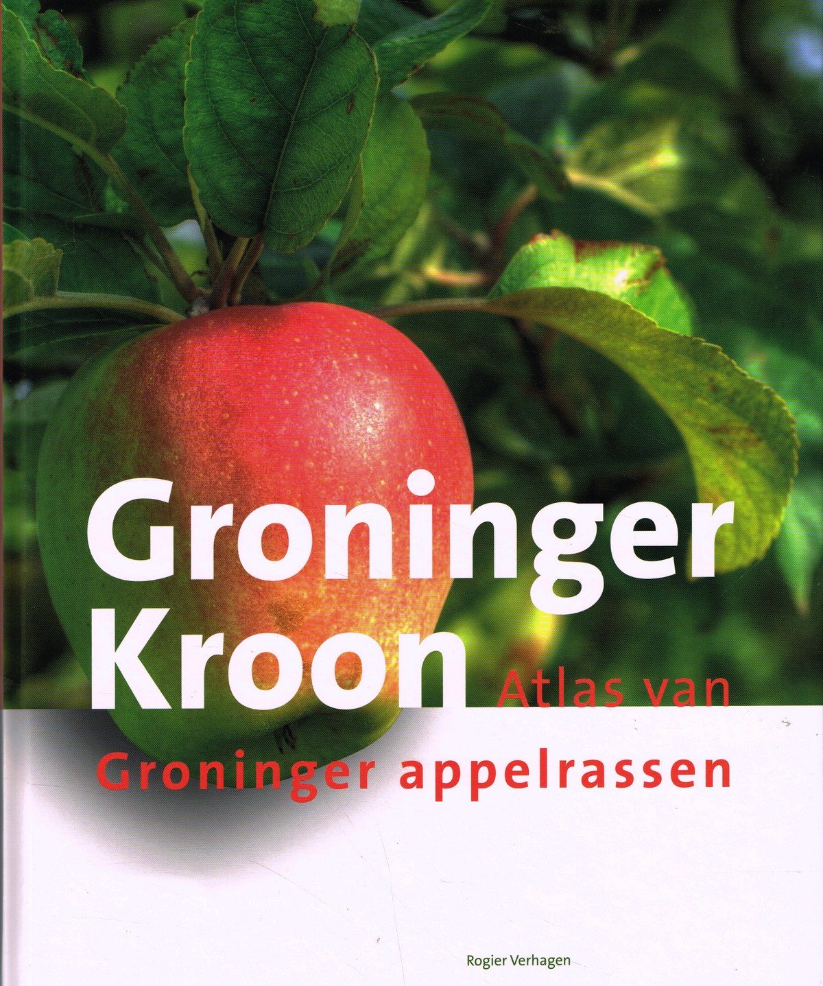 Groninger Kroon - 9789023259435 - Rogier Verhagen