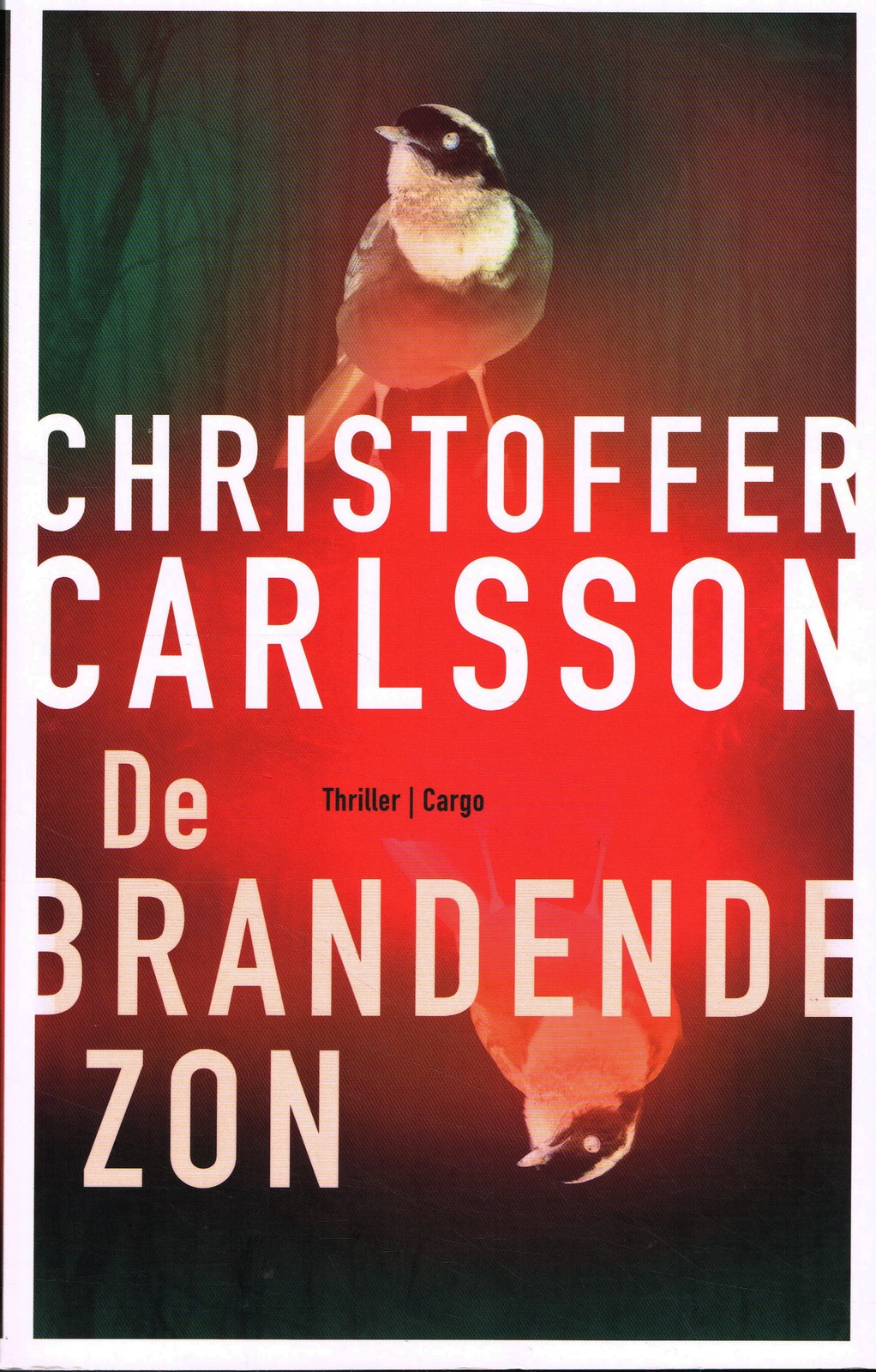 De brandende zon - 9789403169910 - Christoffer Carlsson