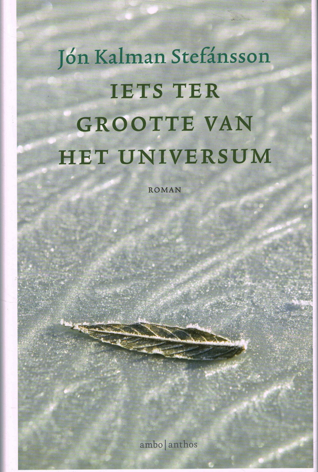 Iets ter grootte van het universum - 9789026334573 - Jón Kalman Stefánsson