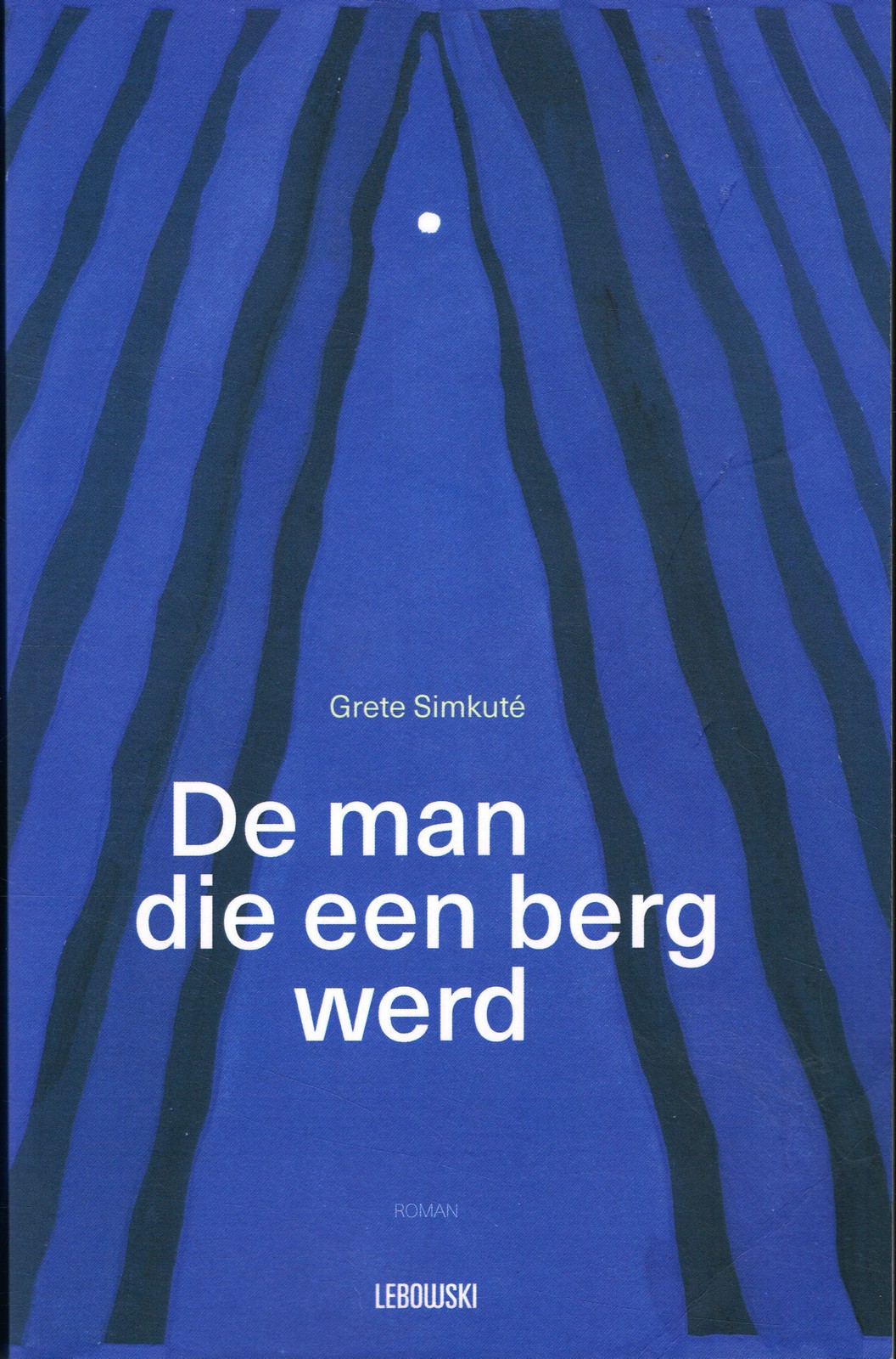 De man die een berg werd - 9789048859481 - Grete Simkuté