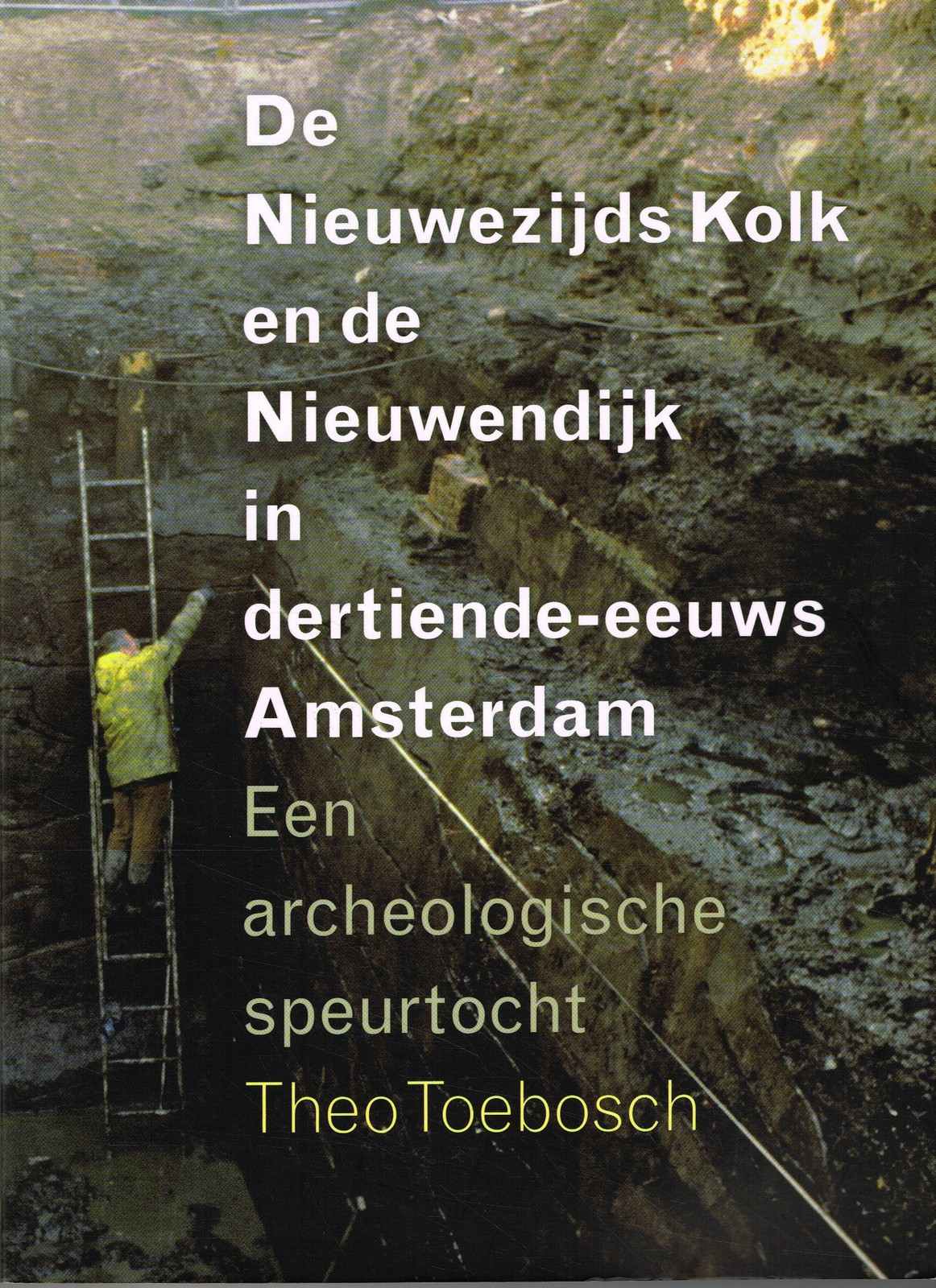 De Nieuwezijds Kolk en de Nieuwendijk in dertiende-eeuws Amsterdam - 9789059372986 - Theo Toebosch