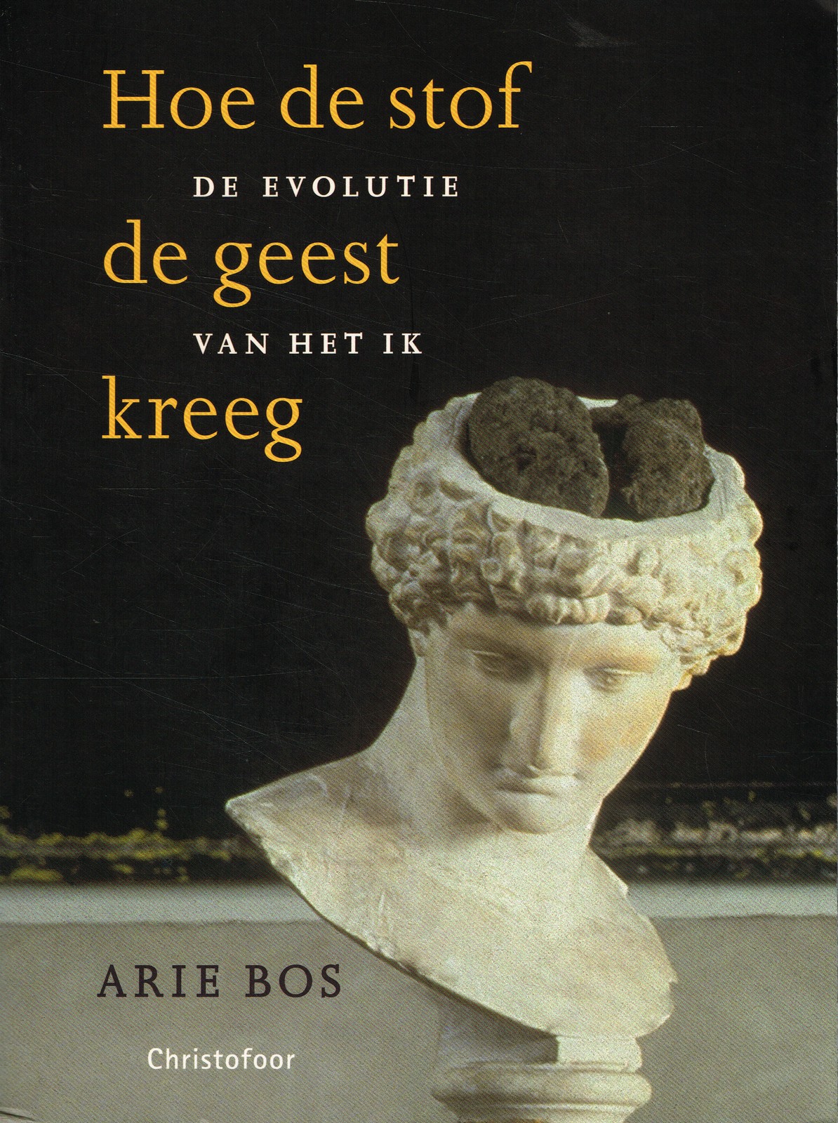 Hoe de stof de geest kreeg - 9789062388547 - Arie Bos