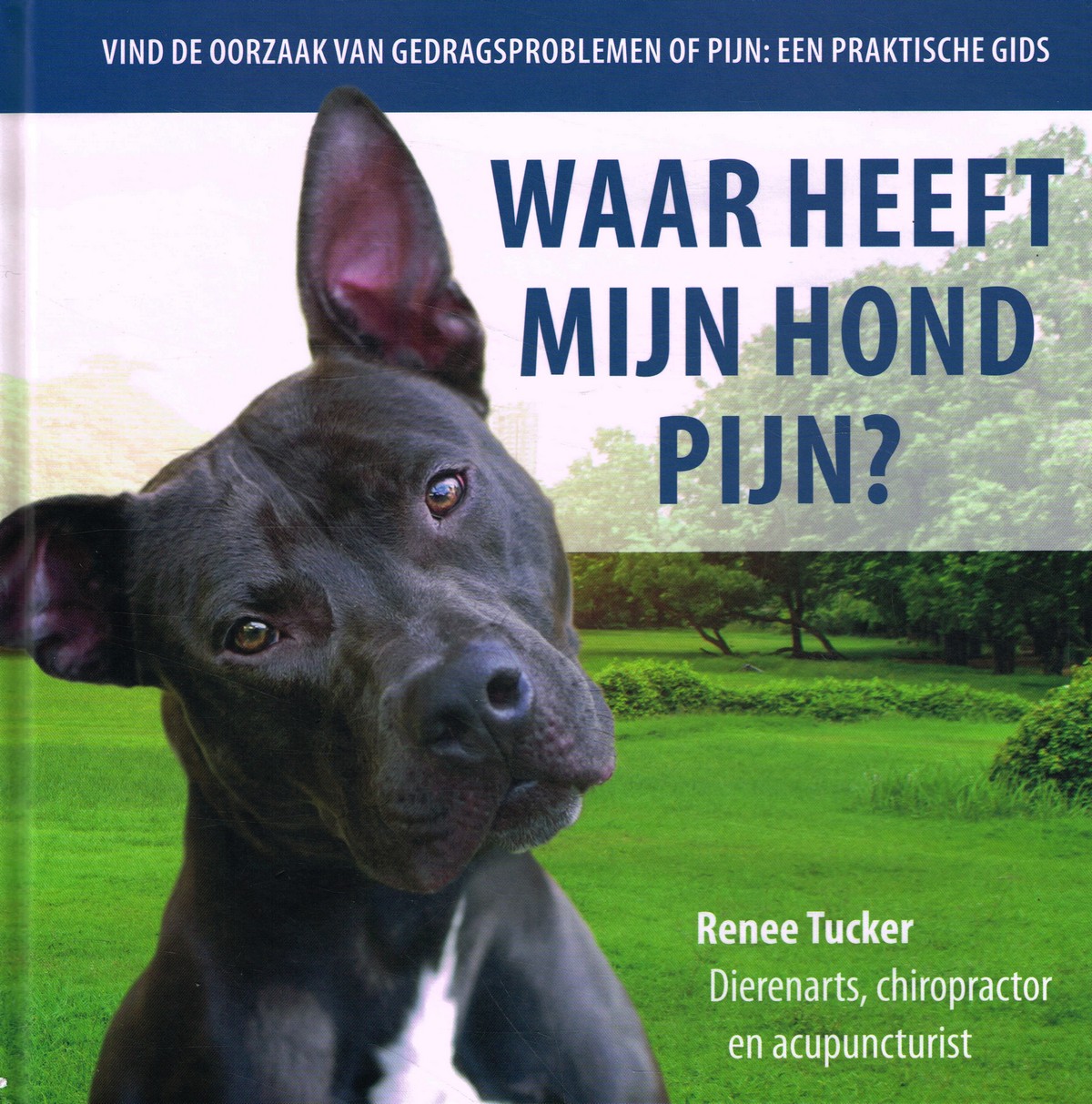 Waar heeft mijn hond pijn? - 9789492284259 - Renee Tucker