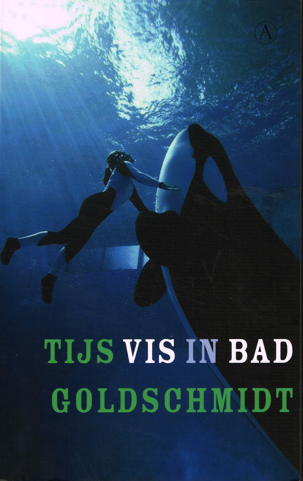 Vis in bad - 9789025302627 - Tijs Goldschmidt