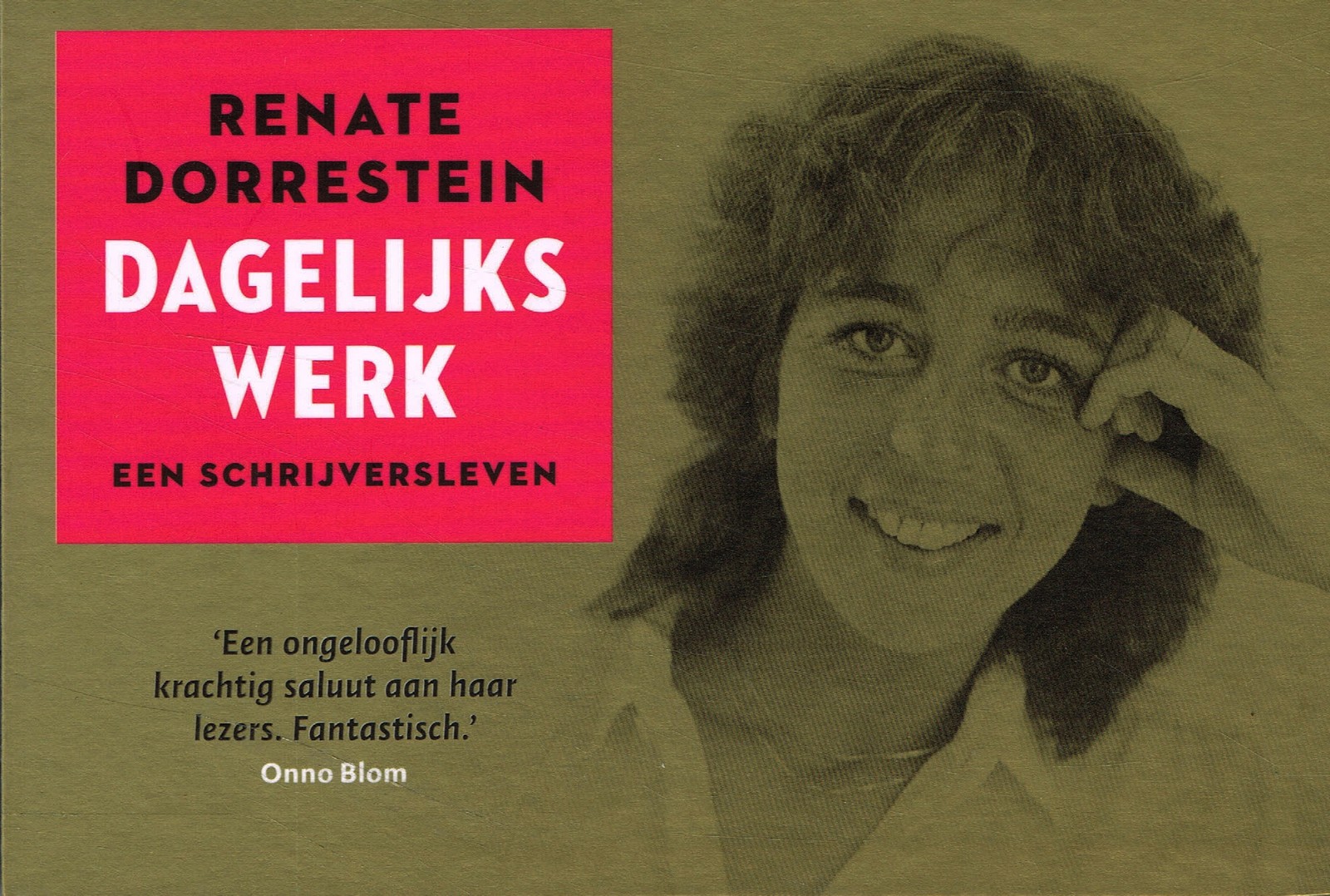 Dagelijks werk - 9789049807603 - Renate Dorrestein