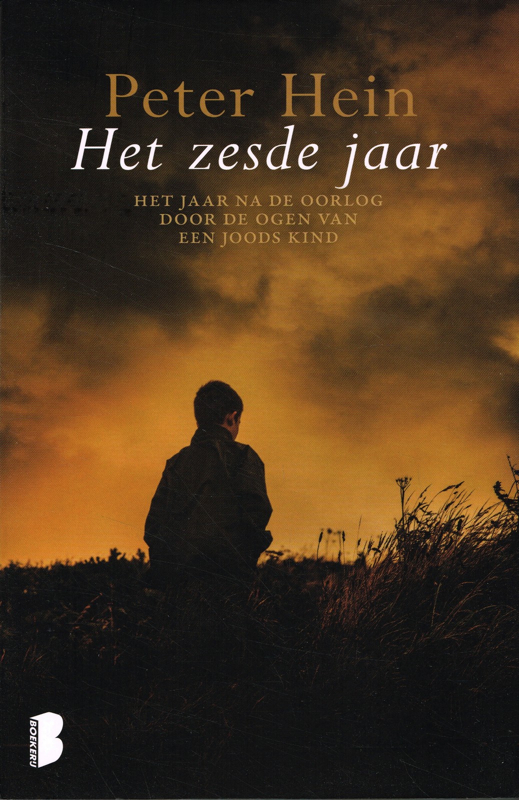 Het zesde jaar - 9789022571644 - Peter Hein