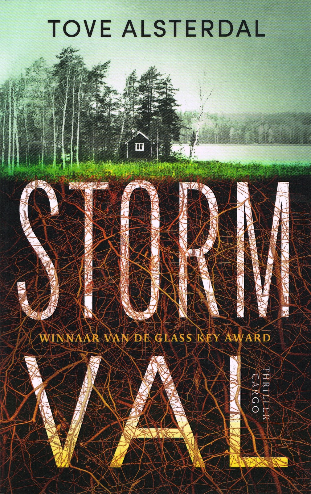 Stormval - 9789403148816 - Tove Alsterdal