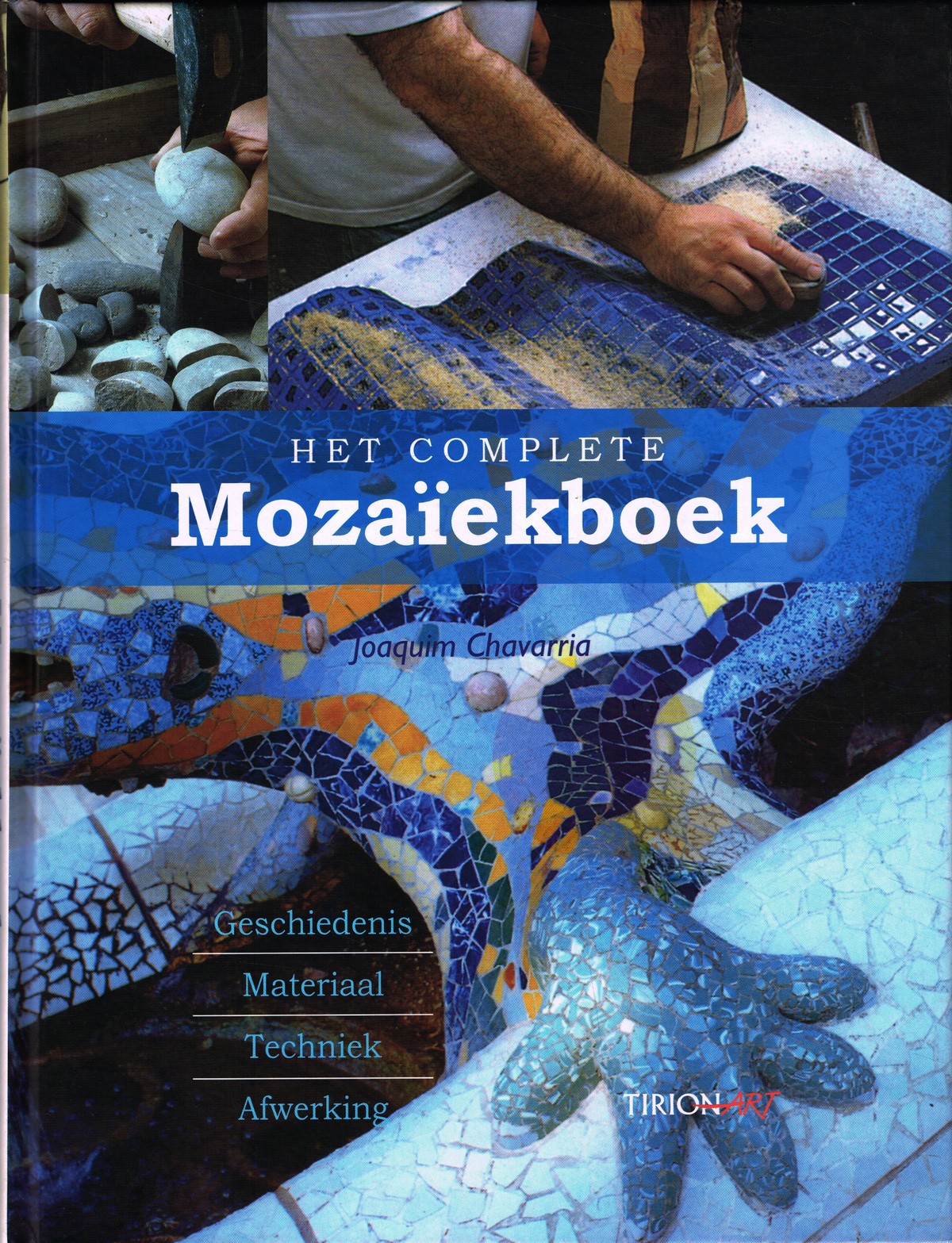 Het complete mozaïekboek Het complete mozaïekboek - 9789043911733 - Joaquim Chavarria