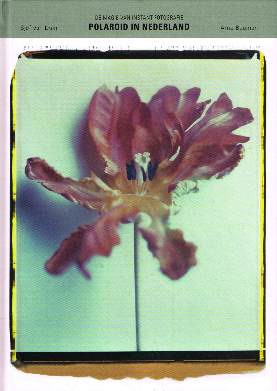 Polaroid in Nederland Polaroid in Nederland - 9789081245432 - Sjef van Duin
