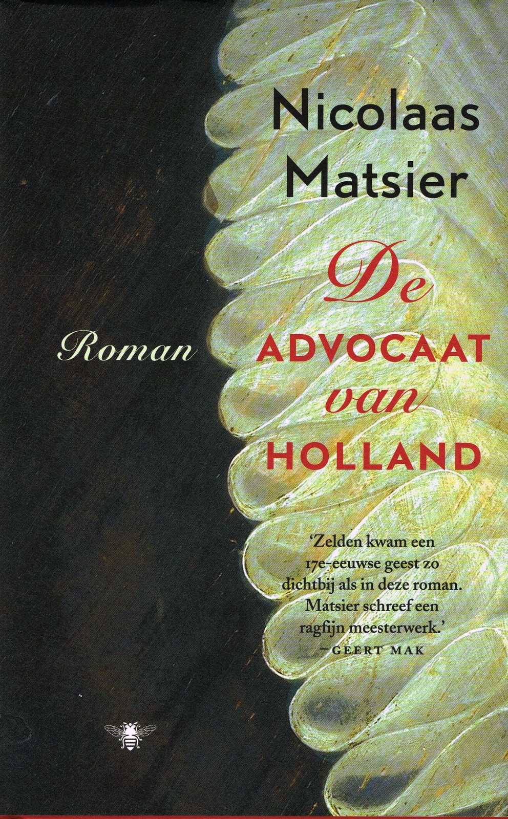 De advocaat van Holland De advocaat van Holland - 9789403136400 - Nicolaas Matsier