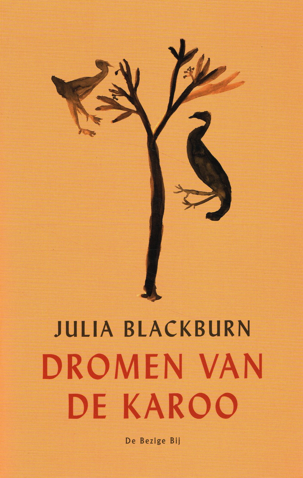 Dromen van de Karoo Dromen van de Karoo - 9789403181219 - Julia Blackburn