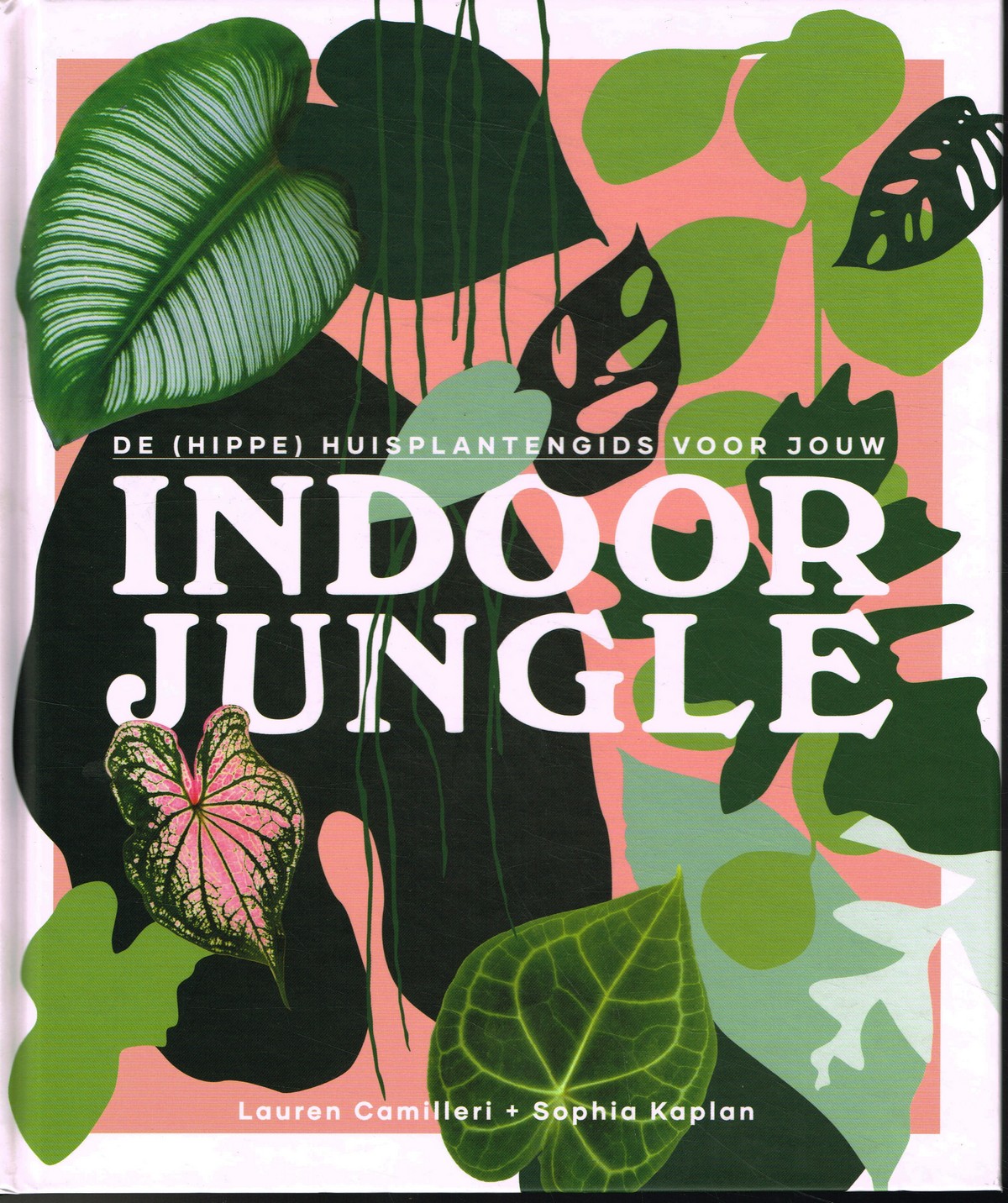 De (hippe) huisplantengids voor jouw Indoor Jungle - 9789059565920 - Lauren Camilleri