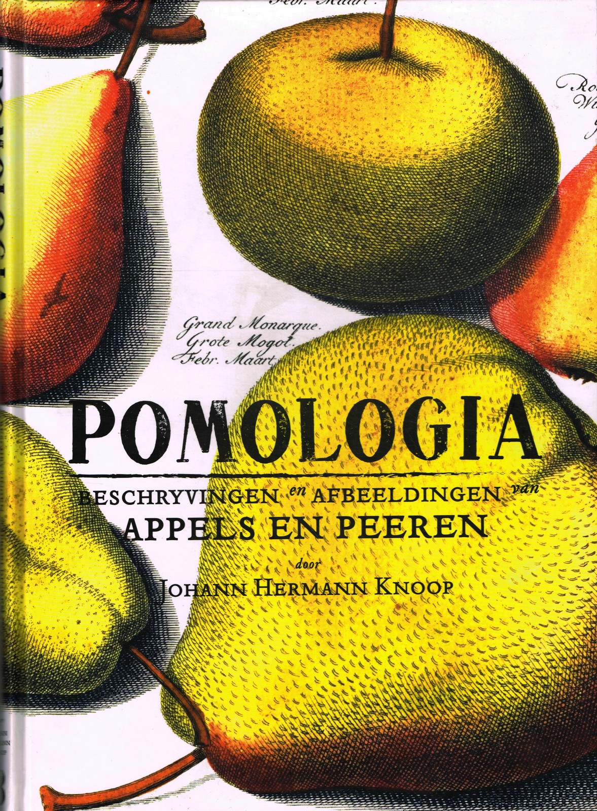 Pomologia - 9789056153625 - Johann Hermann Knoop